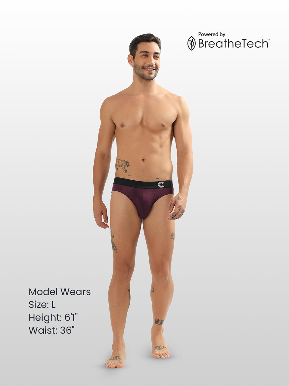 Men's Anti-Bacterial Micro Modal Brief (Pack of 1)