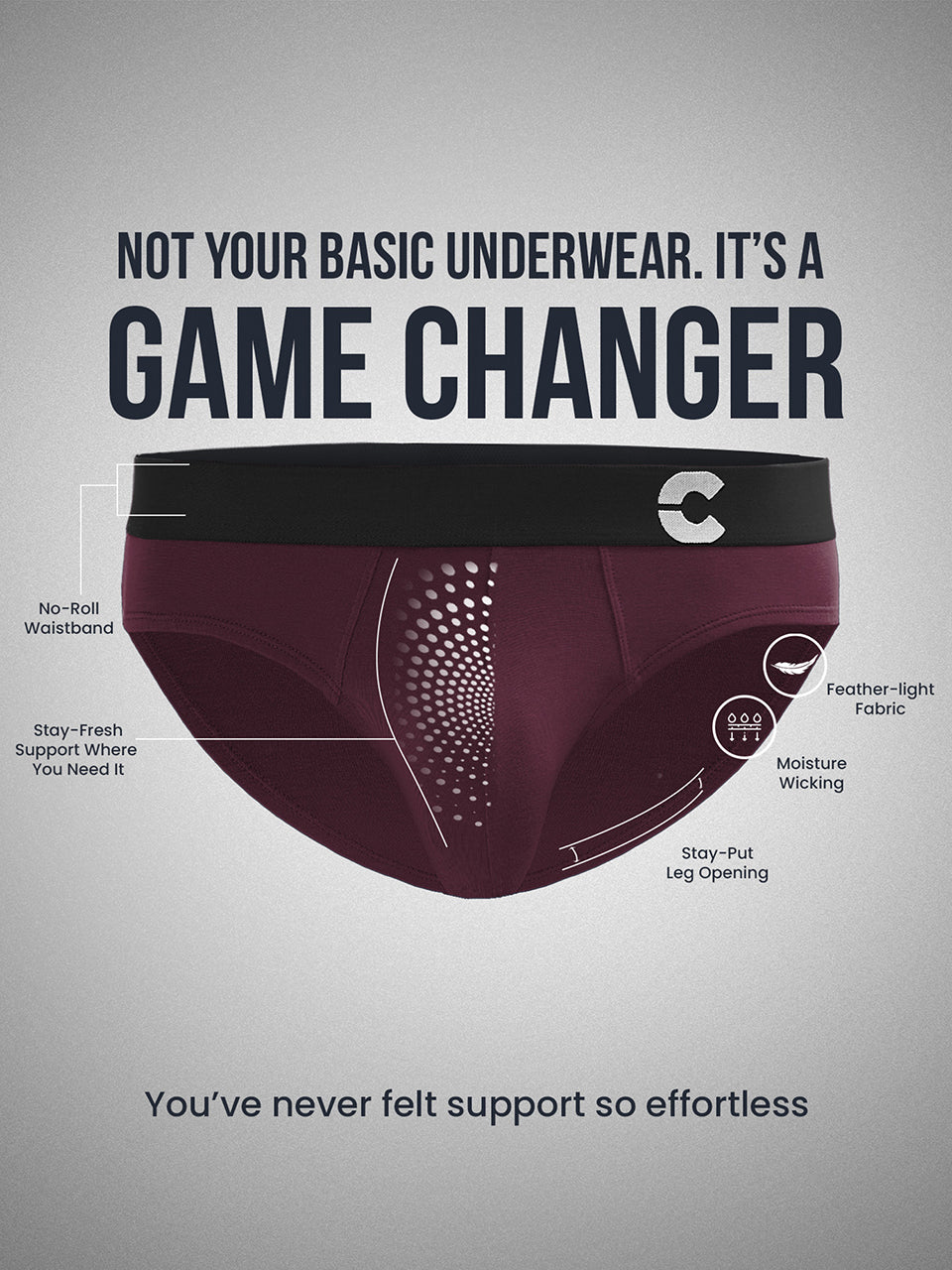 Men's Anti-Bacterial Micro Modal Brief (Pack of 2)